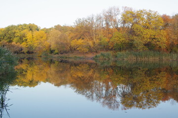 autumn trees reflected in water