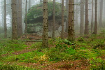 Rock mushroom in a fogg