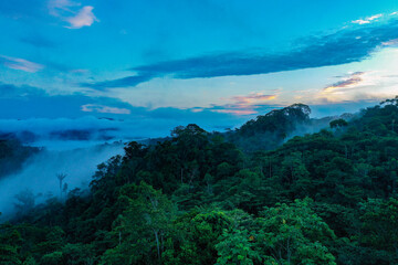 Aerial view of a tropical rainforest covered in fog with a colorful cloudscape due to the sunrise