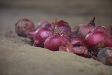 Onions with a red peel piled up on the ground