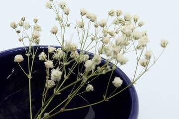 
Small and white wildflowers in indigo blue teacup, peace and joyful times