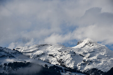 Fototapeta na wymiar Snow-covered mountains and trees in the European Alps, seen from Vaduz, Liechtenstein