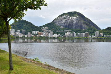Rodrigo de Freitas lagoon in Rio de Janeiro