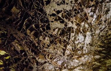 Wind Cave National Park