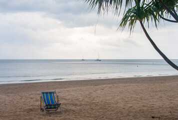 lounge chairs on the beach