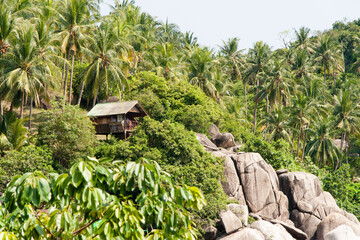 tropical house in Asia