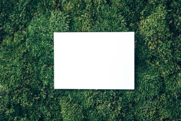 Creative layout made of square card note on green grass, moss background. Top view. Copy space. Advertising card, invitation. Wild nature, ecology concept. Sustainable, organic, zero waste lifestyle