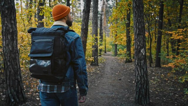 Back view follow shot of young man with backpack walking in autumn forest, slow motion