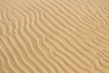 Sand texture on a sea shore. Wavy sand background close-up. Summer and vacotion concept. Top view, copy space.