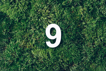 Ecology, zero waste. Green grass and digit nine 9. Birthday greeting card. Anniversary concept. Top view. Copy space. White numeral over eco moss background. Numerical digit.