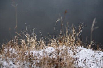 Field in the late autumn
