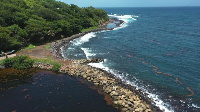 Tropical island drone coast view (Martinique, Marigot)