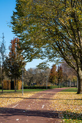 Transportation in the Netherlands, special bicycle lanes for safe cycling in Brabant in sunny autumn day
