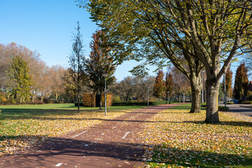 Obraz premium Transportation in the Netherlands, special bicycle lanes for safe cycling in Brabant in sunny autumn day