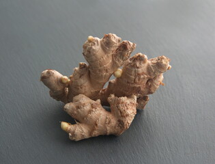 Fresh raw ginger root, rhizome on  grey  stone background