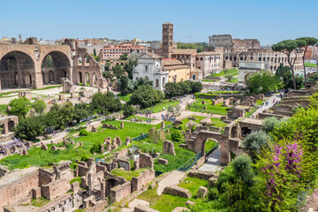 Obraz premium aerial panoramic view of the ruins of the Roman Forum with Colosseum in background
