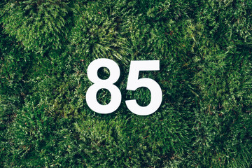 Green grass, digit eighty-five. Birthday greeting card with inscription 85. Anniversary concept. Top view. White numeral on eco moss background. Numerical digit, Celebration event, template, flyer