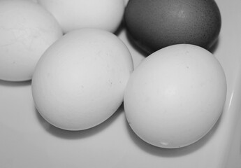closeup raw natural eggs