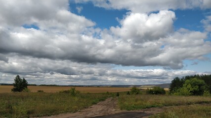 Fototapeta premium landscape with clouds