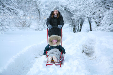 Fototapeta na wymiar Mom sleds her daughter. Mom with her daughter in the winter forest.