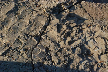 Time can be merciless.
Concrete wall in the rays of the autumn setting sun. An old concrete wall is affected by the sun, wind, rain, water, snow, frost. A large oblique crack cuts through the stneu. T