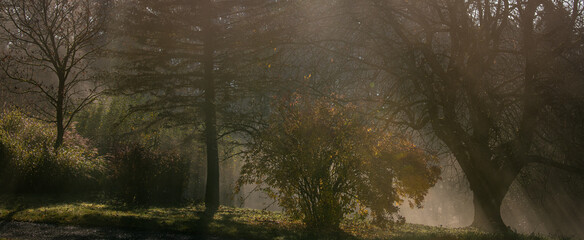 Sonnenstrahlen im herbstlichen Garten- Banner oder Header in gedeckten Farben