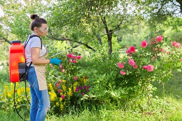 Woman in backyard garden with pressure sprayer backpack protecting plant rose