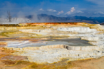 Yellowstone National Park