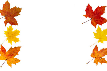 Frame made of autumn leaves orange and yellow and different types on the sides on a white background.