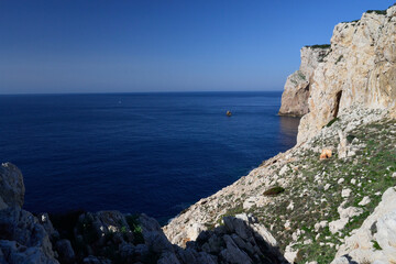 Fototapeta na wymiar La costa di Capo Caccia