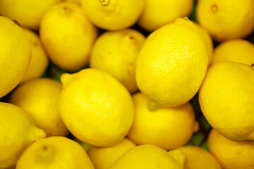 many lemons in one plane lying on top of each other