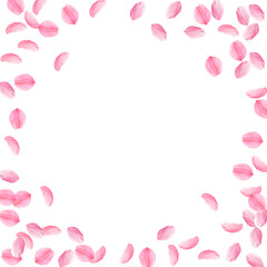 Sakura petals falling down. Romantic pink silky me
