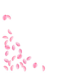 Sakura petals falling down. Romantic pink silky me