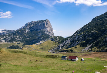 Fototapeta na wymiar Fantastic mountains of Montenegro. A lonely house among the mountains. Picturesque mountain landscape of Durmitor National Park, Montenegro, Europe, Balkans, Dinaric Alps, UNESCO World Heritage Site.