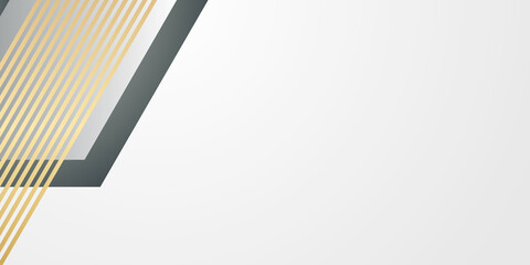 Gold white abstract background with luxury golden lines