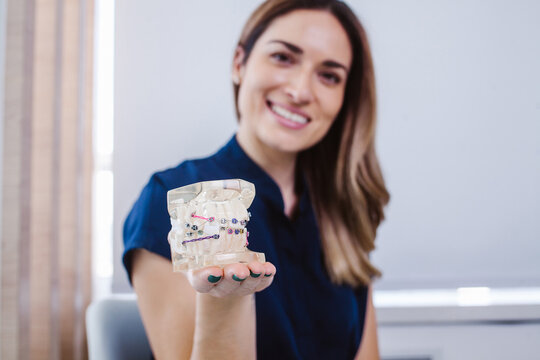 typodont Jaw model and a latin woman dentist holding it in her hand in Mexico city