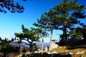 Naturpark Föhrenwald