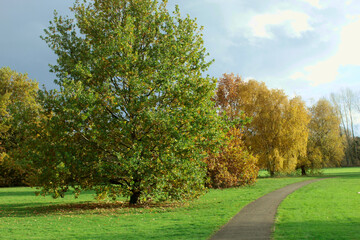 England, Gold Autumn