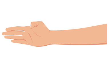 Man hand. Hand isolated on white background. Vector illustration