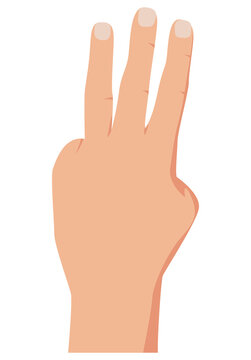Gesture with lifted fingers up showing number three. Vector illustration of counting hand isolated on white background
