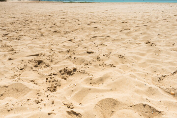 Arena de la playa.