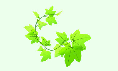 A vector illustration artwork of  Beautiful green leaf,