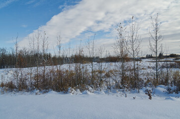 Pylypow after a major Snow Fall