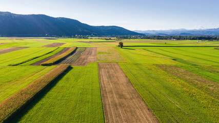 Aerial view of agricultural farming fields from sky.