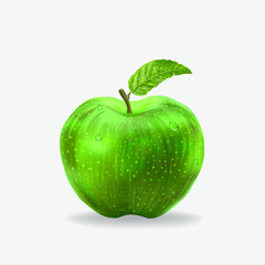 green apple isolated on white, realistic vector