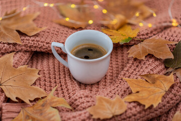 colorful dry leaves on pink wool sweater. cup of coffee. autumn background.