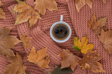 colorful dry leaves on pink wool sweater. cup of coffee. autumn background.