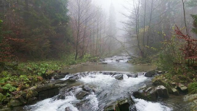 Mountain river  with waterfalls flowing through the autumn colorful forest in Beskidy Mounatins, Poland.
