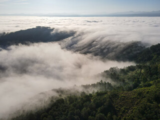 Obraz premium The waterfall created by the fog