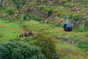 WATUSI, Cable Car - Teleférico, Cabárceno Natural Park, Penagos, Pisueña Valley, Cantabria,...
